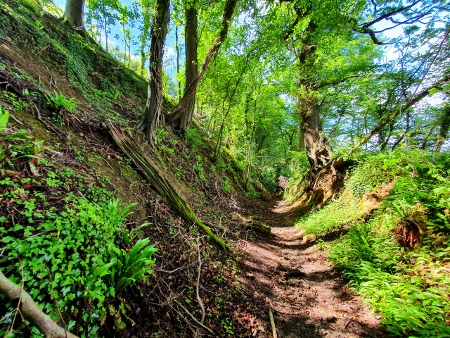 Cotswold Way - von Wotton-under-Edge nach Old Sodbury