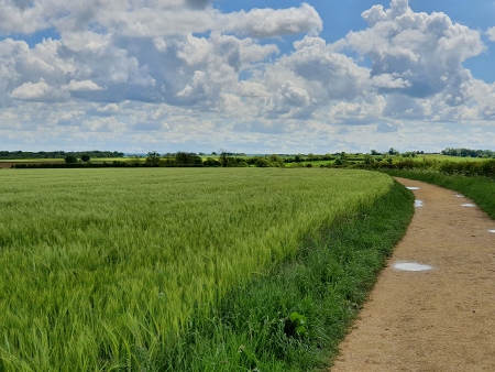 Cotswold Way - von Wotton-under-Edge nach Old Sodbury
