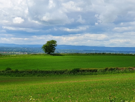 Cotswold Way - von Wotton-under-Edge nach Old Sodbury