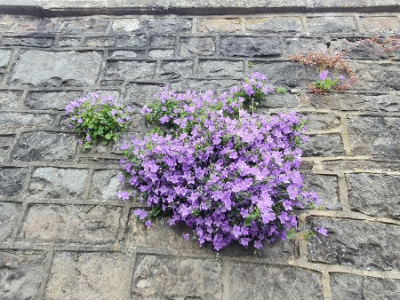 Cotswold Way - Chipping Sodbury