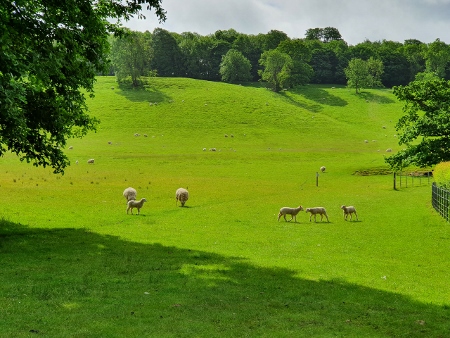 Cotswold Way - von Old Sodbury nach Pensylvania - Dodington Park