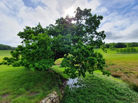 Cotswold Way - von Old Sodbury nach Pensylvania