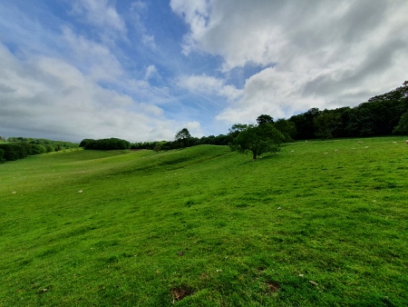 Cotswold Way - von Old Sodbury nach Pensylvania - Dodington Park