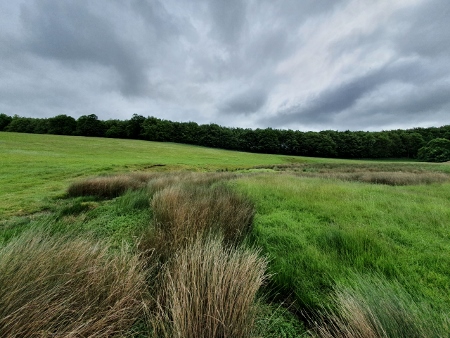 Cotswold Way - von Old Sodbury nach Pensylvania - Dodington Park