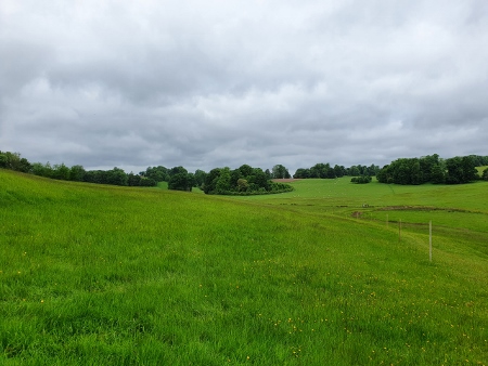 Cotswold Way - von Old Sodbury nach Pensylvania - Dodington Park