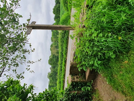 Cotswold Way - von Old Sodbury nach Pensylvania