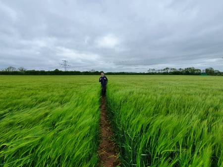 Cotswold Way - von Old Sodbury nach Pensylvania