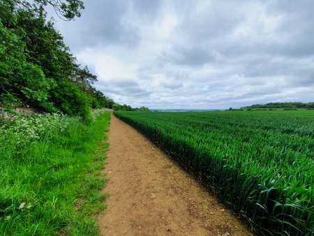 Cotswold Way - von Old Sodbury nach Pensylvania