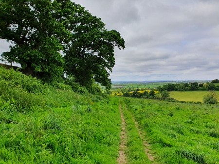 Cotswold Way - von Old Sodbury nach Pensylvania