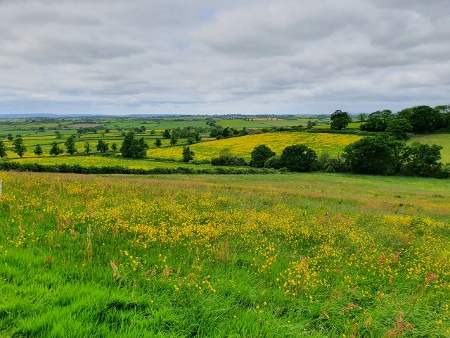 Cotswold Way - von Old Sodbury nach Pensylvania