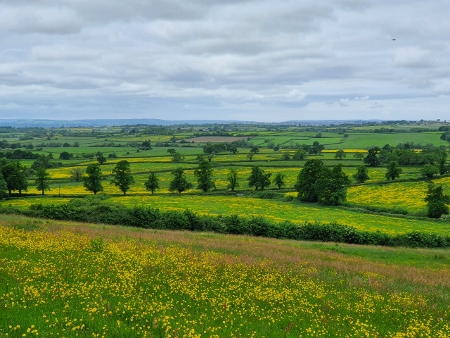 Cotswold Way - von Old Sodbury nach Pensylvania