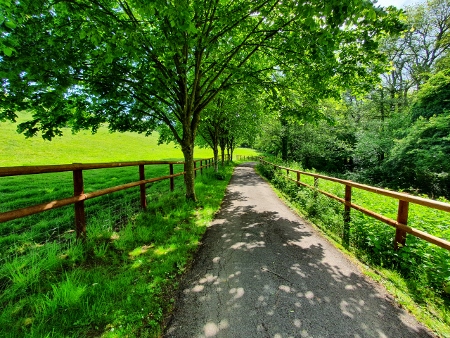 Cotswold Way - von Pensylvania nach Bath