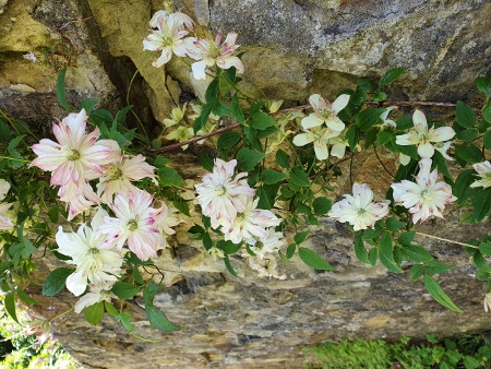 Cotswold Way - von Pensylvania nach Bath