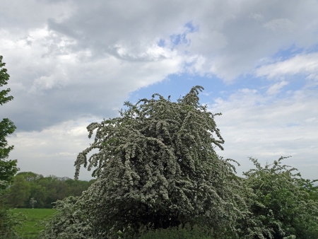 Cotswold Way - von Chipping Campden nach Broadway