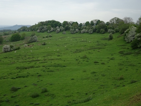 Cotswold Way - von Chipping Campden nach Broadway