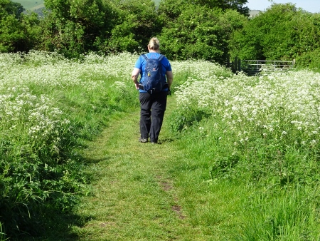 Cotswold Way - von Winchcombe nach Charlton Kings
