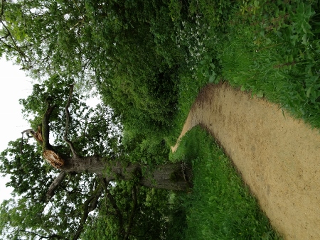 Cotswold Way - von Charlton Kings nach Birdlip