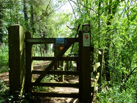 Cotswold Way - von Charlton Kings nach Birdlip