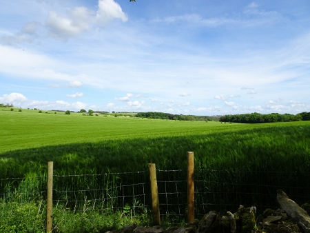 Cotswold Way - von Charlton Kings nach Birdlip
