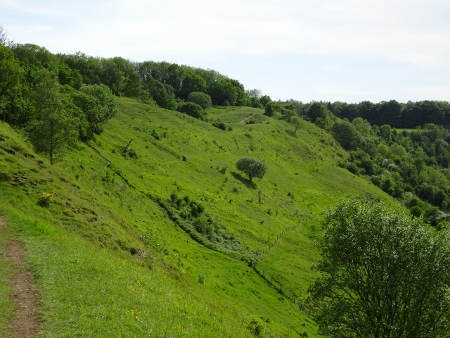 Cotswold Way - von Charlton Kings nach Birdlip