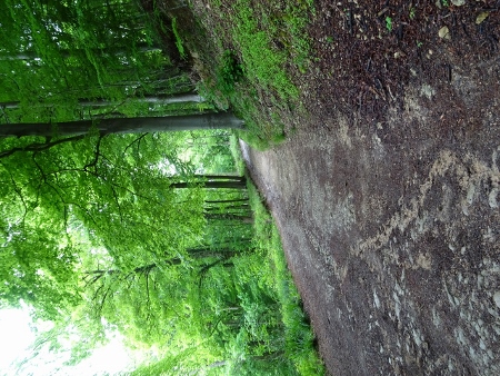 Cotswold Way - von Birdlip nach Painswick