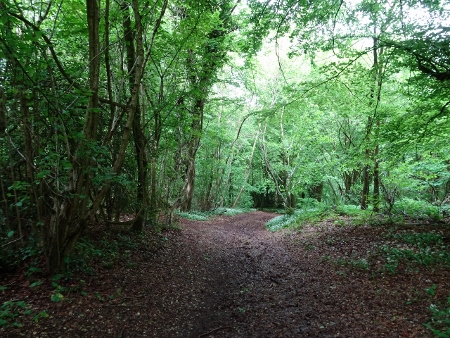 Cotswold Way - von Birdlip nach Painswick