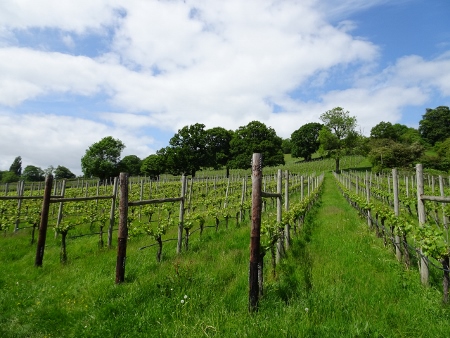Cotswold Way - von Painswick nach Kings Stanley