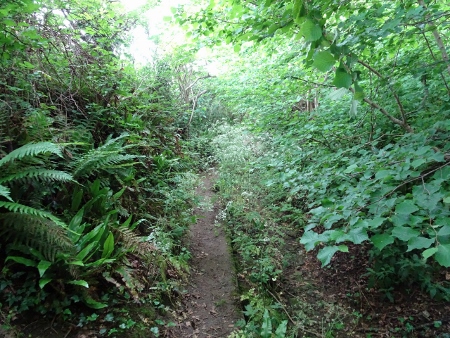 Cotswold Way - von Kings Stanley nach Wotton-under-Edge