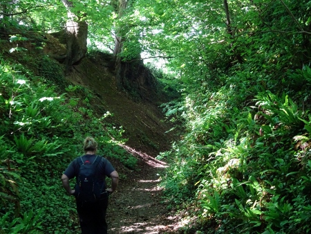 Cotswold Way - von Wotton-under-Edge nach Old Sodbury