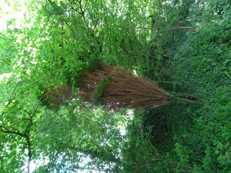 Cotswold Way - von Wotton-under-Edge nach Old Sodbury