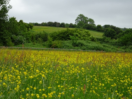 Cotswold Way - von Old Sodbury nach Pensylvania