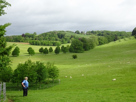 Cotswold Way - von Old Sodbury nach Pensylvania - Dodington Park