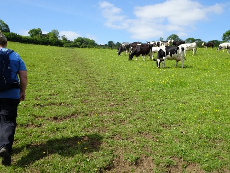 Cotswold Way - von Pensylvania nach Bath
