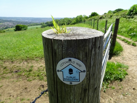 Cotswold Way - von Pensylvania nach Bath