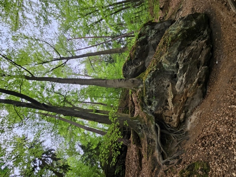 Aufstieg zur Bastei