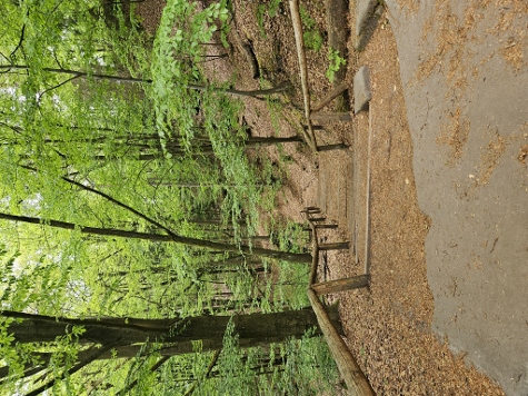 Aufstieg zur Bastei