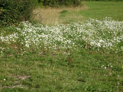 Natur geniessen
