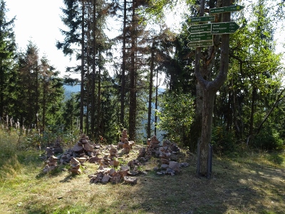 Von Schmiedefeld nach Oberhof - Gipfelsturm zum Großen Beerberg