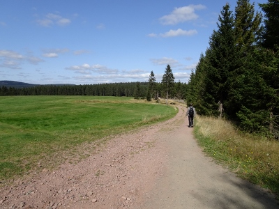 Von Oberhof nach Floh-Seligenthal - Ebertswiese