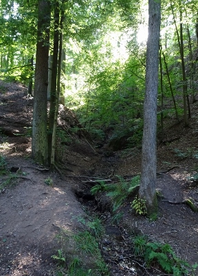 Von Ruhla nach Eisenach - Drachenschlucht