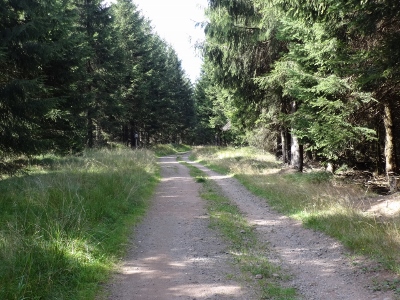 Von Oberhof nach Floh-Seligenthal - Vom Nebel in die Sonne
