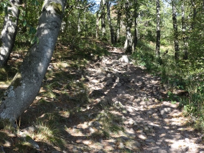 Von Floh-Seligenthal nach Ruhla (Rennsteighof) - Großer Inselberg