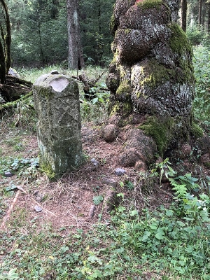 Von Neuhaus am Rennweg nach Masserberg - Grenzstein