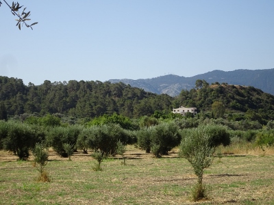 Kalavarda
