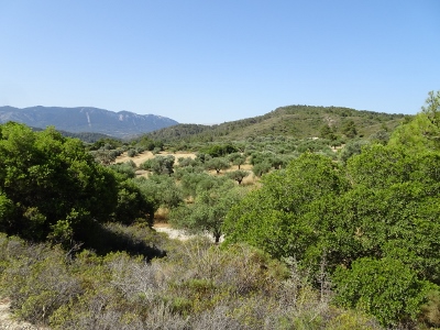 Kalavarda