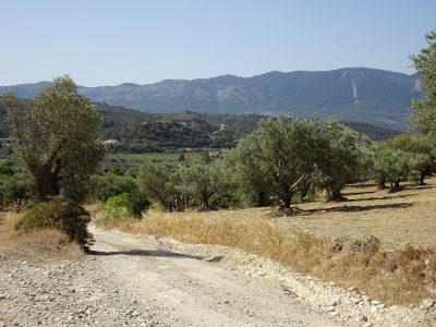 Kalavarda
