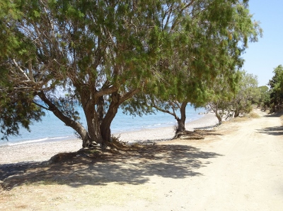 Kalavarda