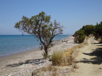 Kalavarda