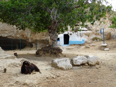 Charaki - Stegna