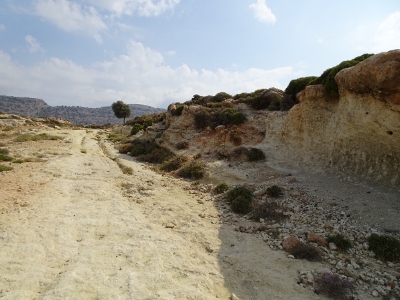 Charaki - Stegna
